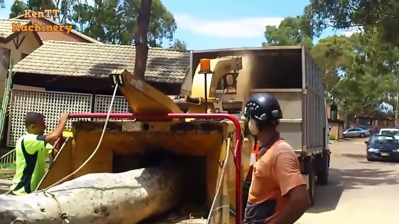 Dangerous Skill Cutting & Wood Chipper Machine Working - Extreme Processor Big Tree Chainsaw