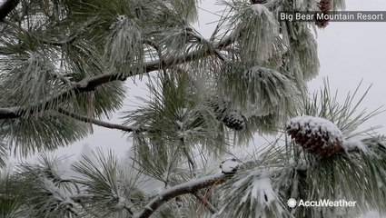 Snowstorm before opening day? Perfect