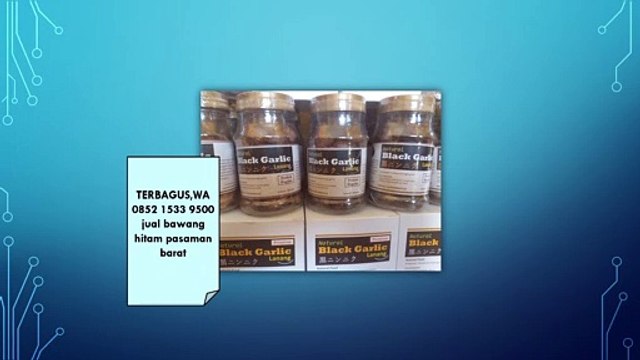 TERBAGUS,WA 0852 1533 9500 jual bawang hitam pasaman barat