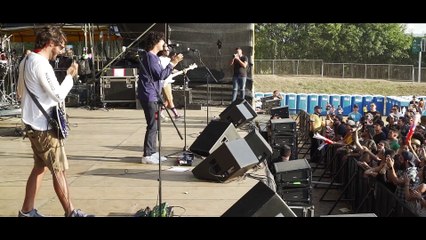 Palmera del Desierto