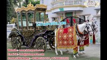Latest/Trendy Horse Carriages/Buggy Offered by DST EXPORTS