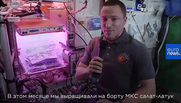 Спроси нашего астронавта | Какие съедобные растения выращивают в космосе?