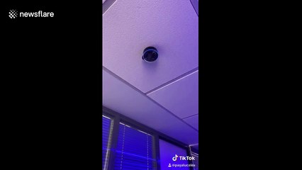 Romanian man makes TikTok recording Amazon Alexa's 'evil laugh'