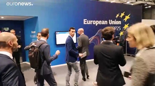 COP25: Зелёная революция и налог на выбросы