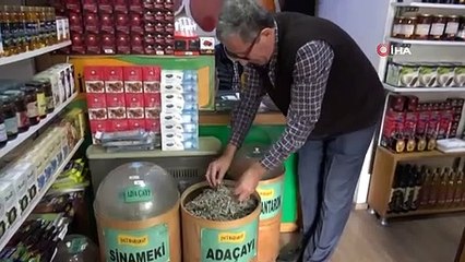 Soğuyan Havalar Bitkilere Olan Talebi Arttırdı