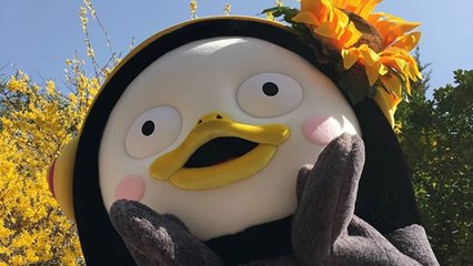 남극행 항공권 예약 1.8배↑...여행업계도 '펭수 효과' / YTN