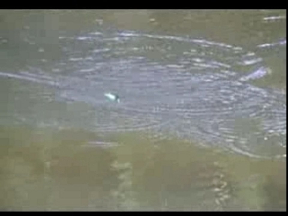 Video 2 em POPPER
