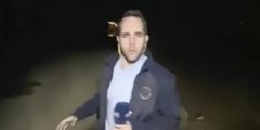 Vídeo viral: Este reportero huye de un cerdo que lo perseguía mientras hablaba en directo