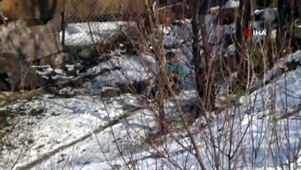 Yüksekova beyaza büründü