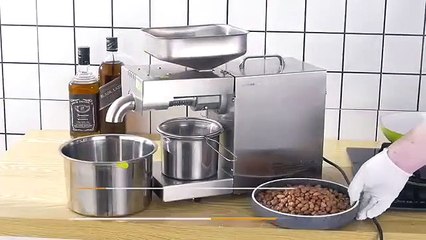 Mini Commercial Oil Press Machine