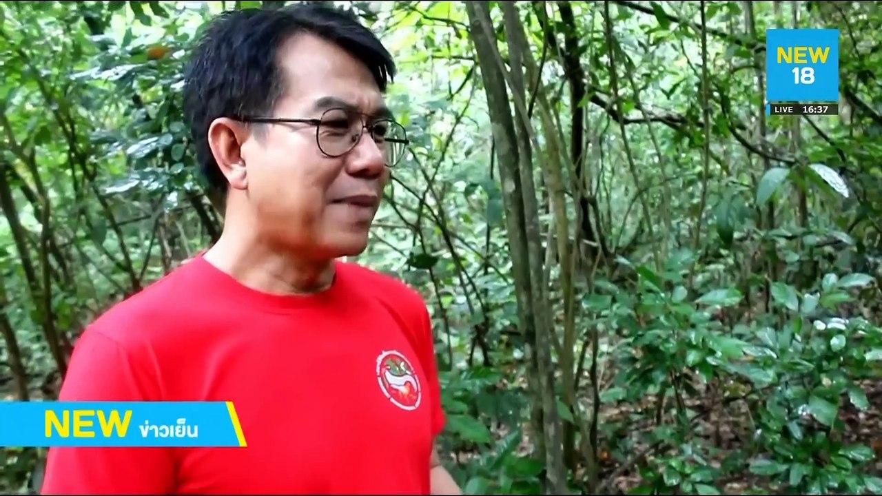 ดอยอินทนนท์ร้อนขึ้น ไม่มีแม่คะนิ้ง | NEW18