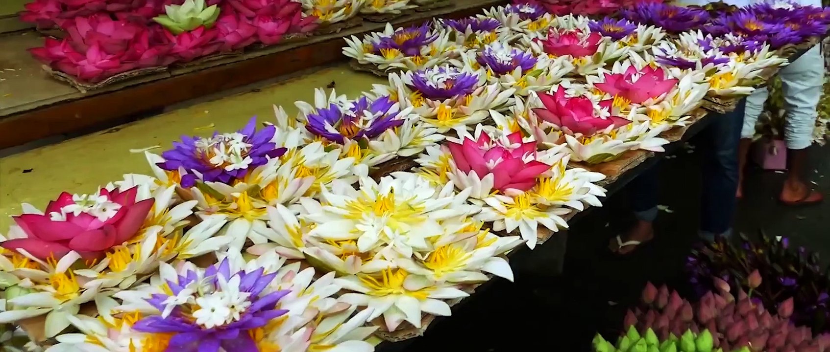 Sri Lanka Holiday Packages - Merkaba Holidays