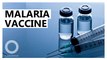World's first malaria vaccine introduced in Africa