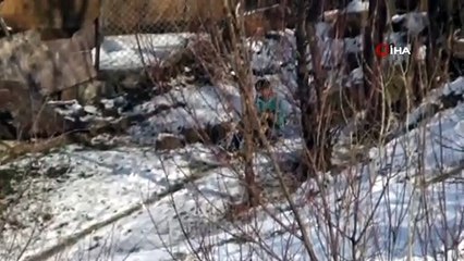 Yüksekova Beyaza Büründü