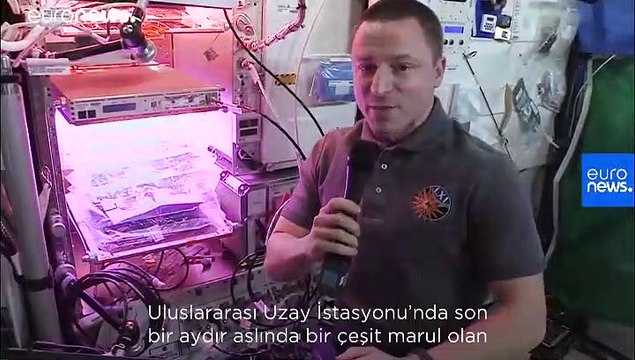 Uzay Günlükleri: Uluslararası Uzay İstasyonu'nda hangi bitkiler yetişiyor?