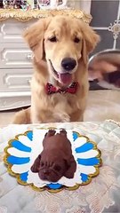 مقلب خطير
