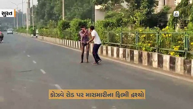 કોઝ વે રોડ પર સ્કૂલવાન ચાલક અને બાઈકચાલક રોડ પર મારામારી પર ઉતર્યા