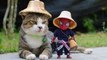Cet artiste crée des scénarios très drôles dans lesquelles son chat et un bébé Spider-Man sont les héros