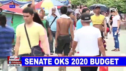Senate oks 2020 budget
