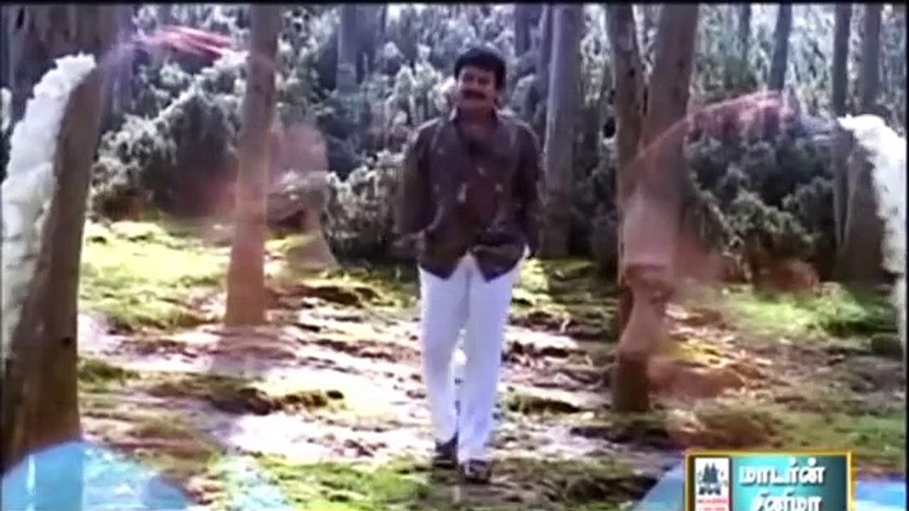 MALLIYE CHINNA MULLAYE - PANDITHURAI 1992