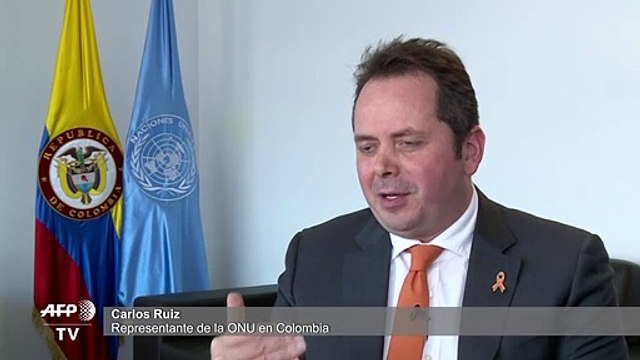 Paz con FARC en Colombia será efectiva en 10 a 15 años, dice representante de ONU