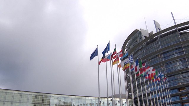 La Eurocámara declara la emergencia climática