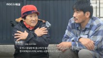 [HOT] Dolphins live in Jeju Island.,MBC 다큐스페셜 20191128