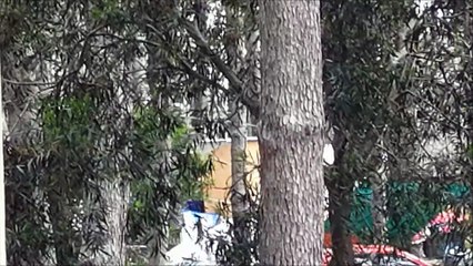esclavageslavery