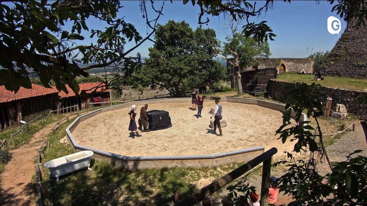 Documentaire - LE SEIGNEUR DES OISEAUX