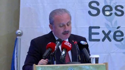 Şentop: "Türkiye tüm terör örgütleri ile mücadelesini kararlıkla sürdürecektir"