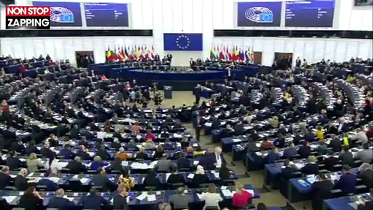 Yannick Jadot fait le buzz après un hommage raté au Parlement européen (vidéo)