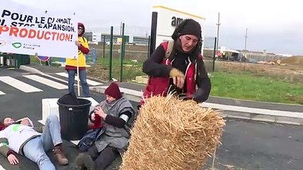 Ativistas ambientais contra a "Black Friday"