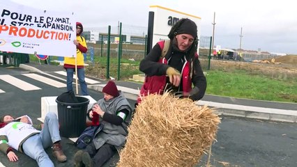 Ativistas ambientais contra a "Black Friday"