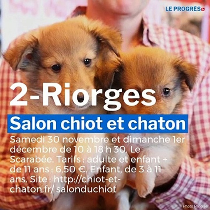 30-nov-et-1er-decembre-2019-bons-plans-loisirs-du-week-end-dans-la-loire-et-la-haute-loire