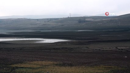 Akın Göleti'nde Su Seviyesi Düştü, Ağaçlar Ortaya Çıktı