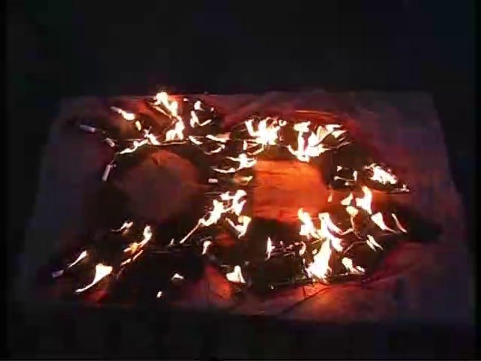 Alfredo Caranguejo-Krebsbrenne