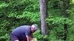 Ils trouvent une biche coincée dans un tronc d'arbre et la libèrent