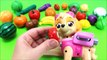 Learn Names of Fruits And Vegetables Paw Patrol Toys Velcro Wooden Food For Kids Toddlers