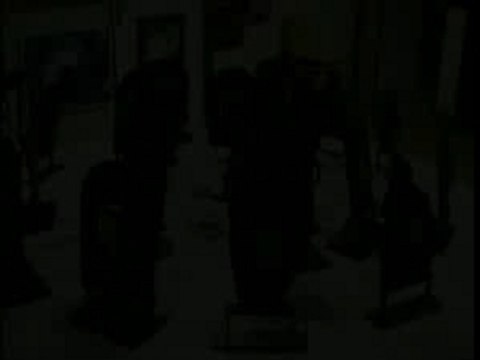 Ensemble Orchestral Alpes de la Mer Duo Bach,Vivaldi,Haendel