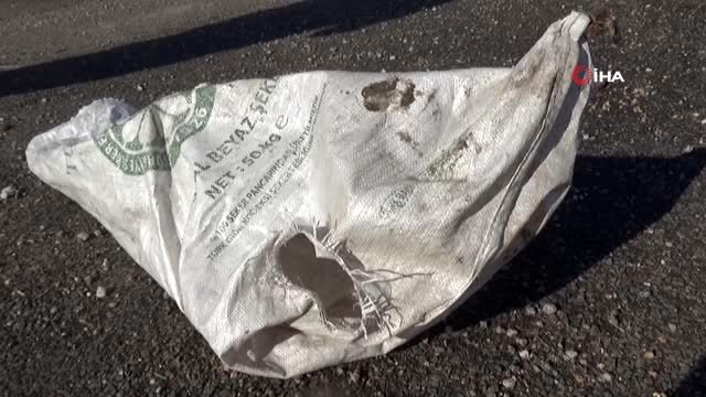 Hamile köpeği çuvala koyup yola attılar