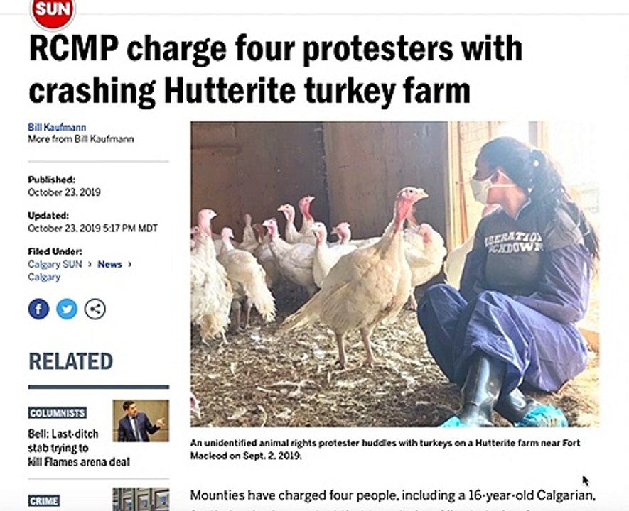 TURKEY FARM PROTEST LUNACY