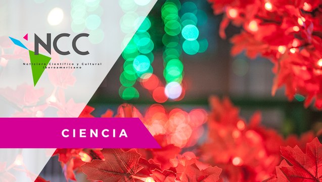 ¿Pen­sa­mien­tos sui­ci­das? Los cua­dros de­pre­si­vos en Mé­xi­co au­men­tan en tem­po­ra­da na­vi­de­ña