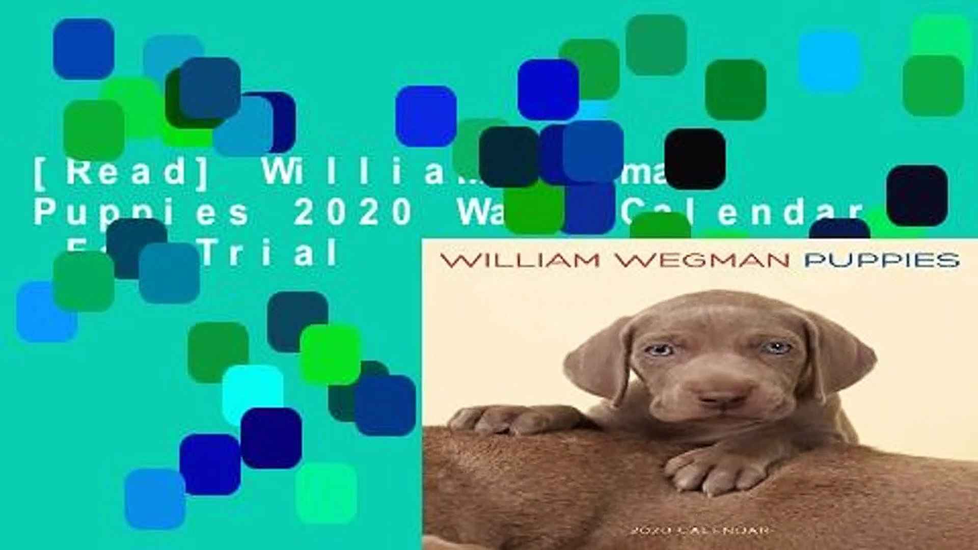 ( VZ ) Wegman, William William Wegman Puppies 2020 Wall Calendar
