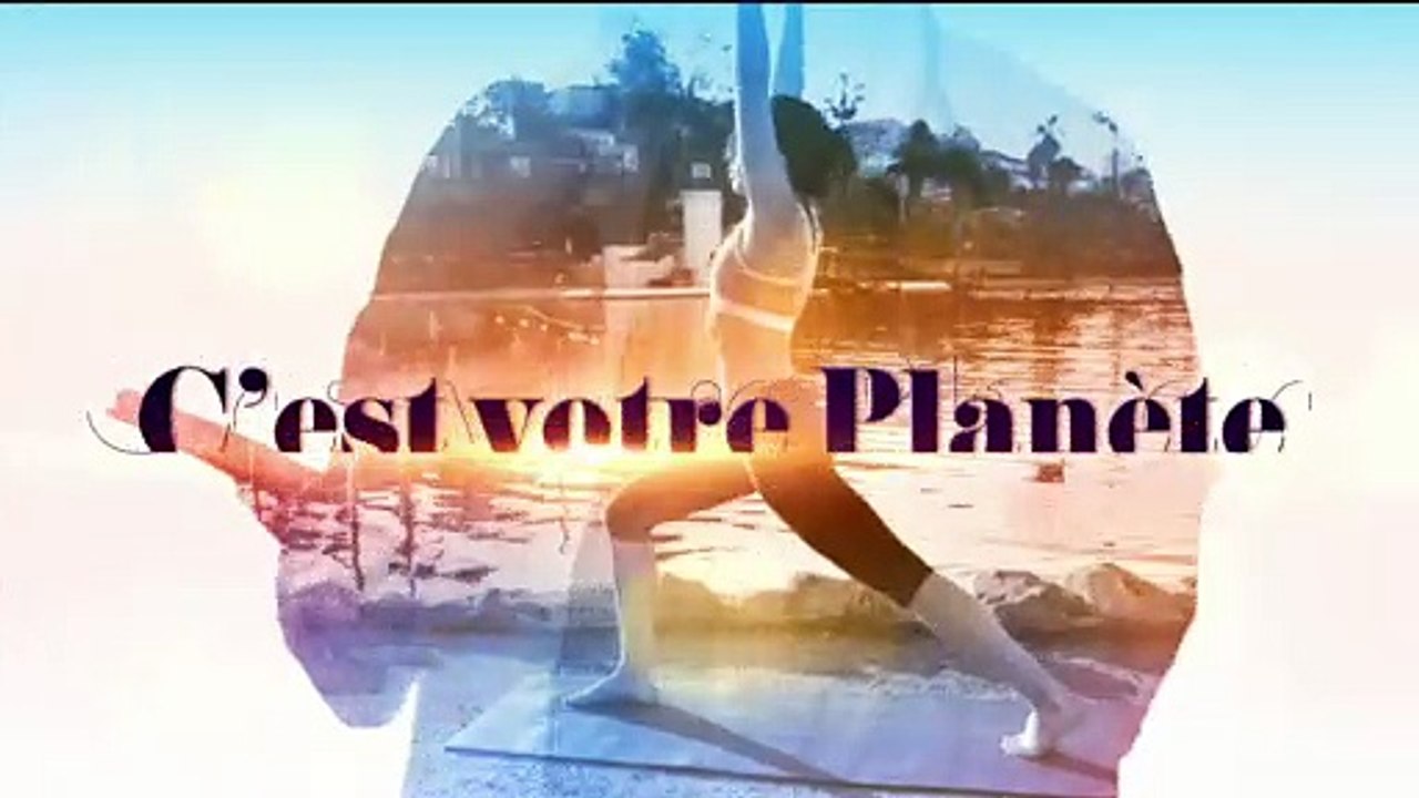 Opération plantation dans les Calanques - 29/11