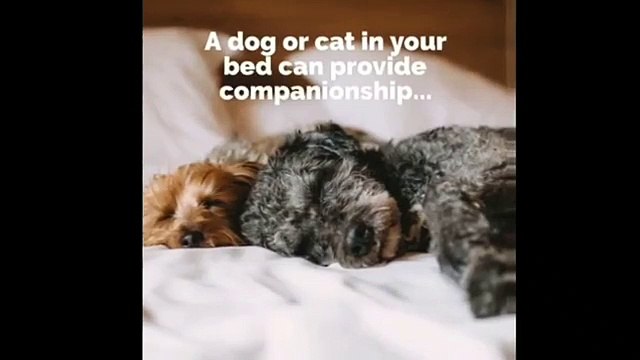 pet or plants all we love or need many things for your hobbies