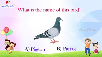 GK for kids | Master Quiz # 19 | Quiz Show for kids in English || Viral Rocket