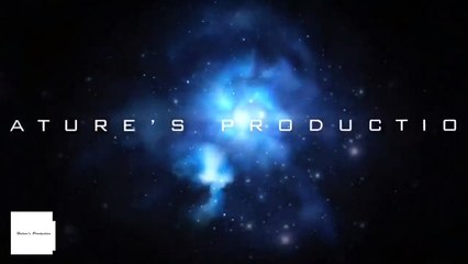 WHAT IS A RAT TAILED MAGGOT___