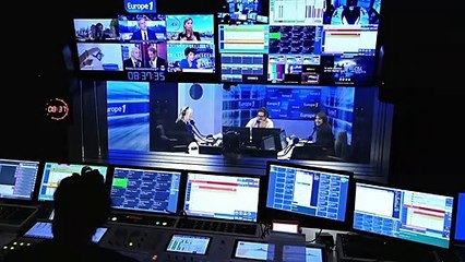 Des chiens à câliner pour étudiants stressés