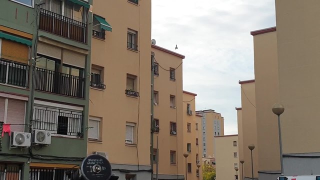 Macrooperativo contra el tráfico de armas y drogas en Badalona