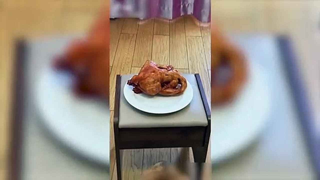 你敢对烧鸡做什么我就敢对你做什么mbx趣味